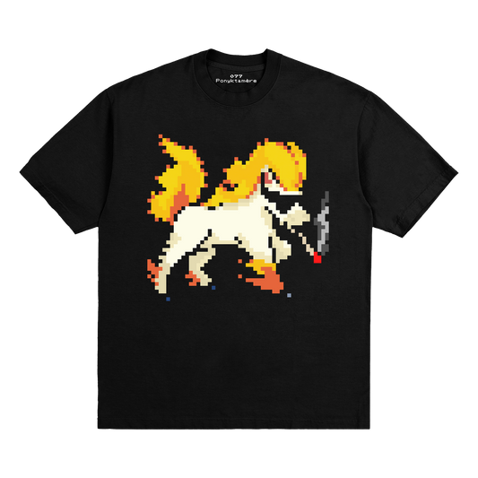 077	Ponyktamère